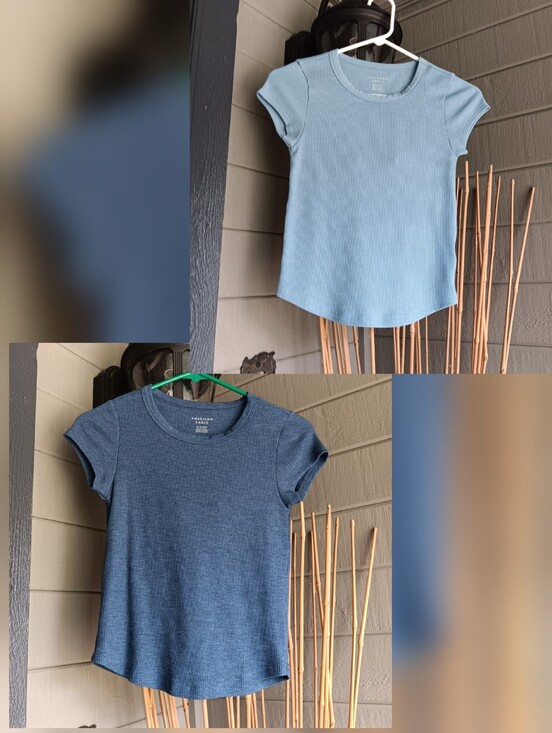 American Eagle Outfitters Tops - LOT OF 2 American Eagle Outfitters Blue Baby Tees Size XS